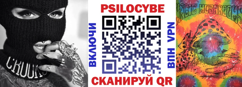 Псилоцибиновые грибы Psilocybe  Назрань 